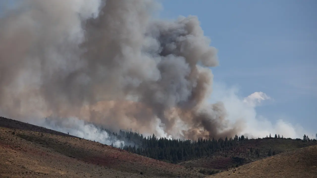 Incêndio provocado por ação humana deixa mais de 40 mil desabrigados nos EUA   Leia mais em: https://veja.abril.com.br/mundo/incendio-provocado-por-acao-humana-deixa-mais-de-40-mil-desabrigados-nos-eua/